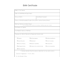 영문출생증명서 (Birth Certificate)